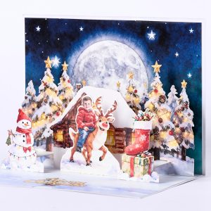 Customized 3D pop up card S005