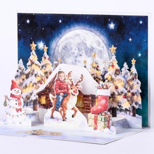 Customized 3D pop up card S010